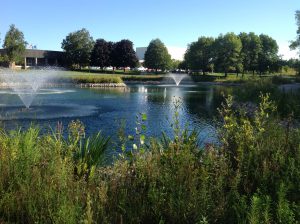 pond, fountains