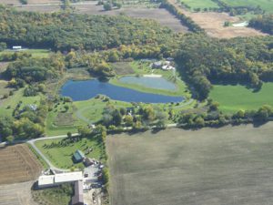 ponds, aerial view