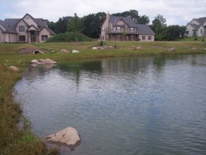 shared pond