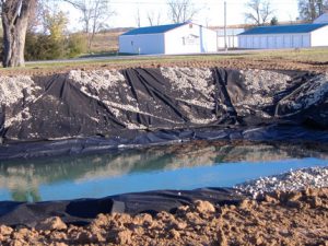 new pond