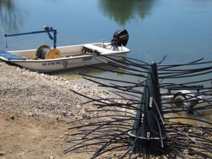 fish structures