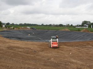 new pond