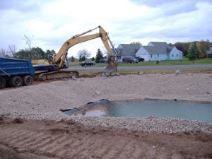 new pond