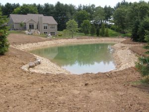 new pond