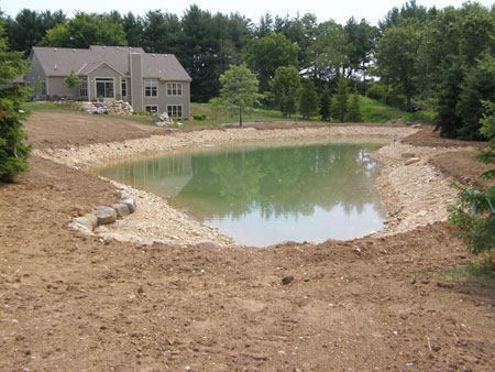 new pond