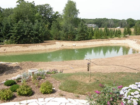 new pond