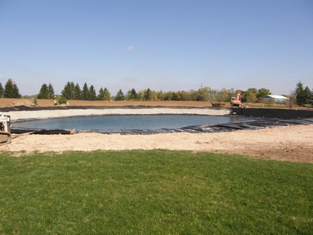 new pond