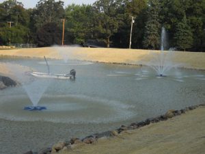 pond fountains