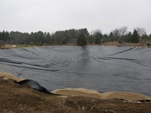pond liner