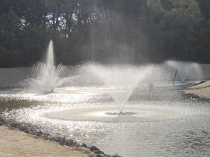 pond fountains