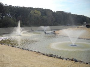 pond fountains