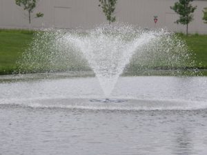 pond fountain
