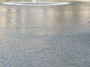 pond fountain