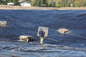 pond liner