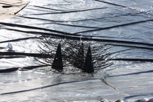 fish structure, pond liner