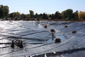 pond liner, fish structures