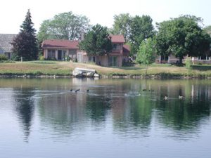 shared pond