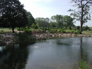 pond