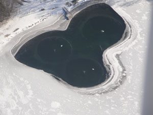 pond in winter