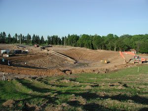 new pond construction