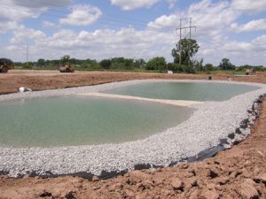 new pond