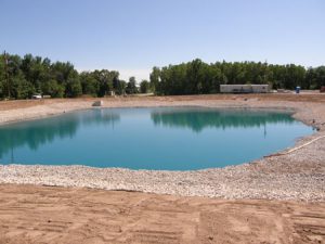 new pond