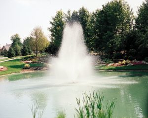 pond fountain
