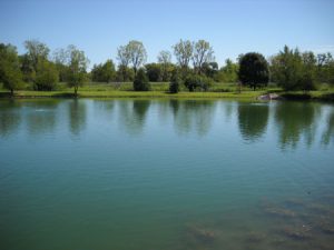 wisconsin pond