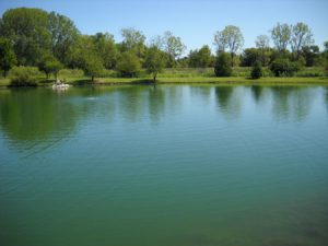 wisconsin pond