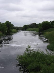 pond