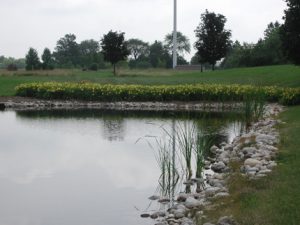 pond