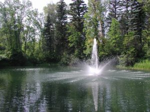 pond fountain