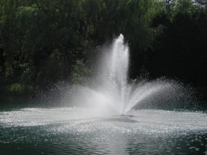 pond fountain