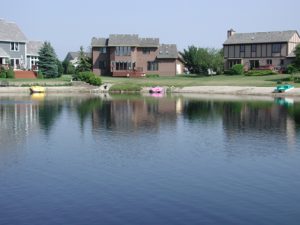 shared pond