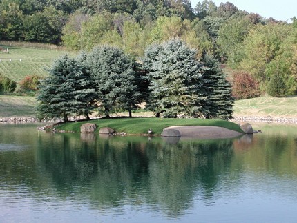 wildlife pond