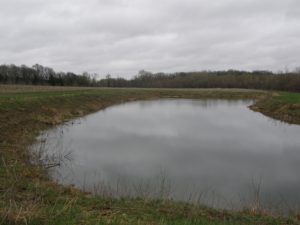 pond