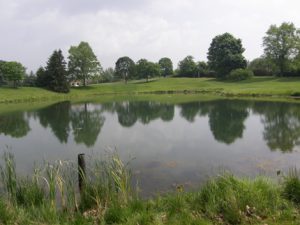 private pond