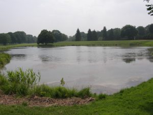 pond
