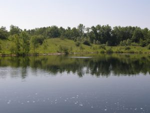 wildlife pond