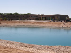 new pond