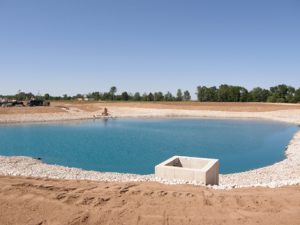 new pond