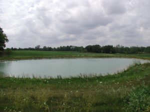 private pond