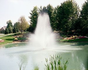 pond fountain