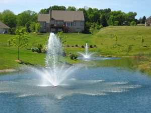 pond fountain