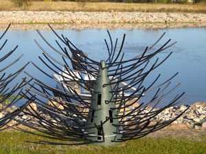 fish structure, fish habitat