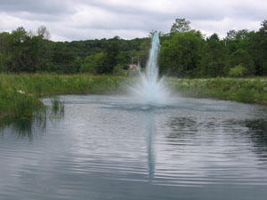 pond fountain