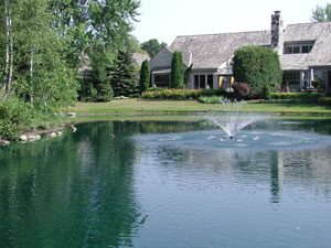 pond fountain
