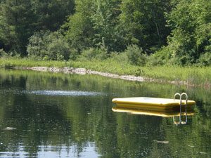 swim pond