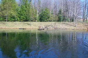 fish structure, fish habitat