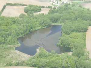 pond